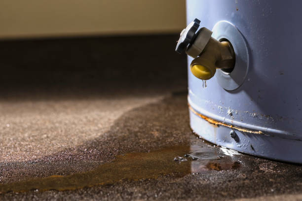 Best Commercial water damage restoration  in Marshall, MO
