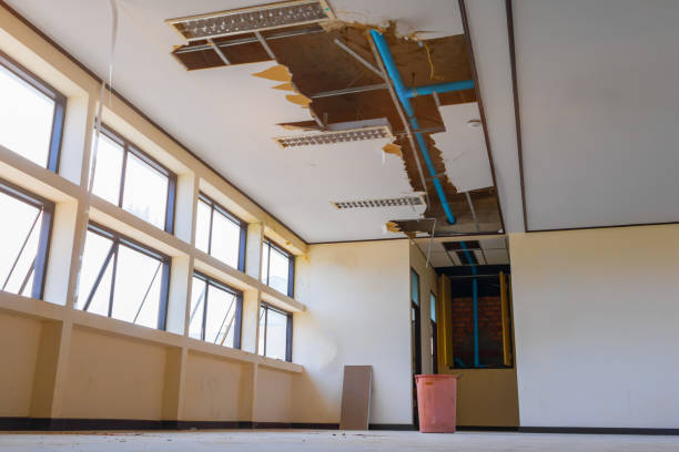 Best Residential water damage restoration  in Marshall, MO