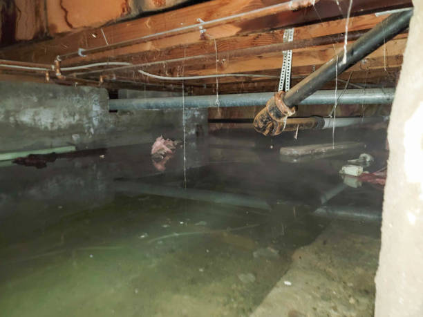 Reliable MO Water damage restoration Solutions
