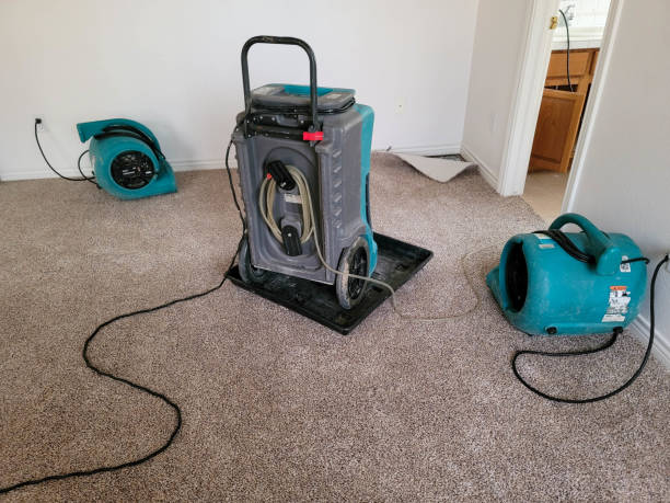 Best Water damage restoration mold remediation  in Marshall, MO