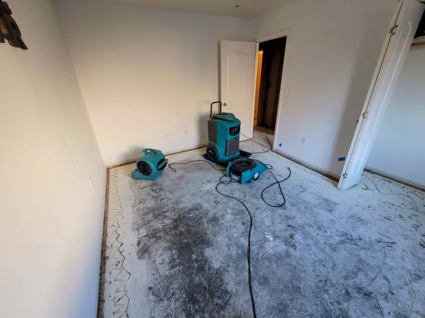 Best Water damage contractors near me  in Marshall, MO