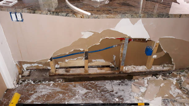 Best Flooded house restoration  in Marshall, MO