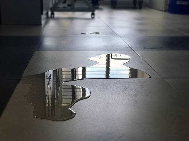 Best Water damage restoration specialists  in Marshall, MO