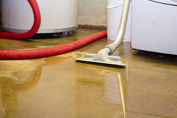 Best Local water damage restoration  in Marshall, MO