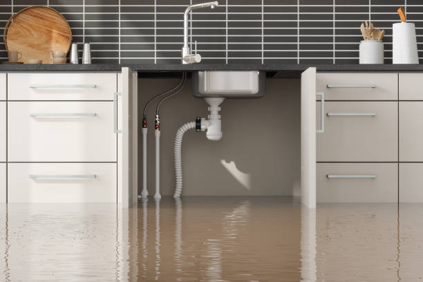 Best Professional water damage repair  in Marshall, MO